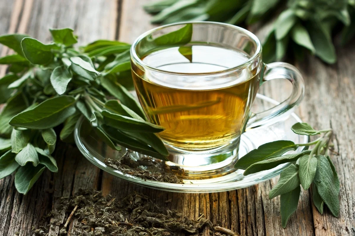 Green Tea Extract
